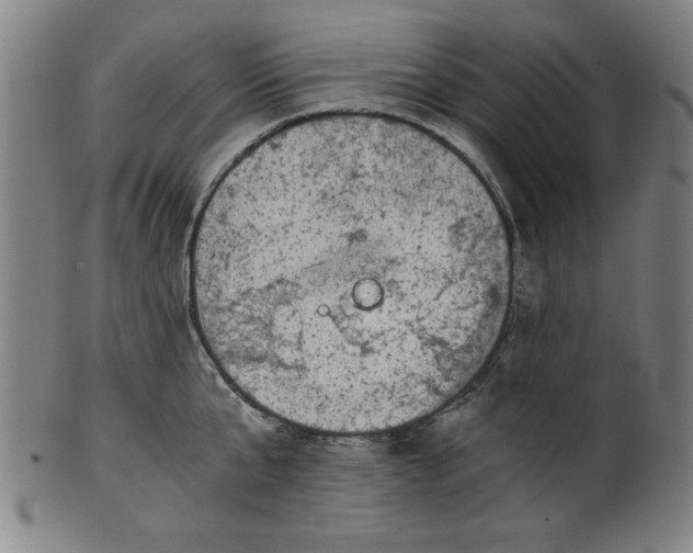 X0000100900807200807220950