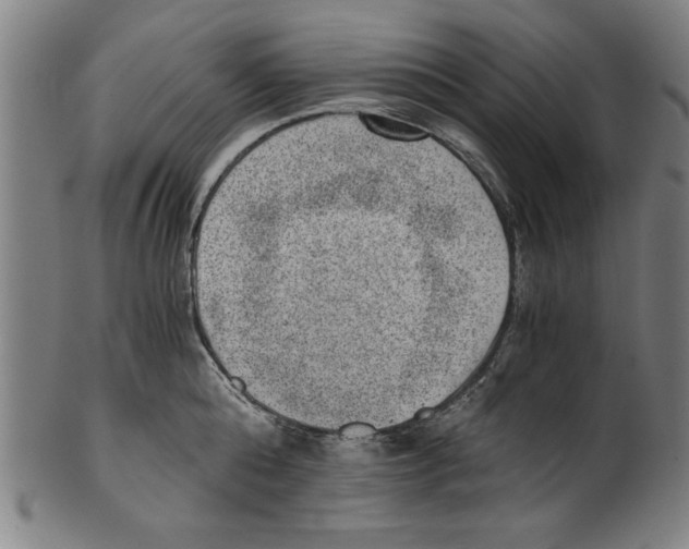 X0000100900808200807220950