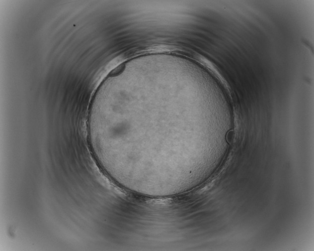 X0000100900810200807220950