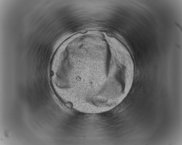 X0000100900811200807220950