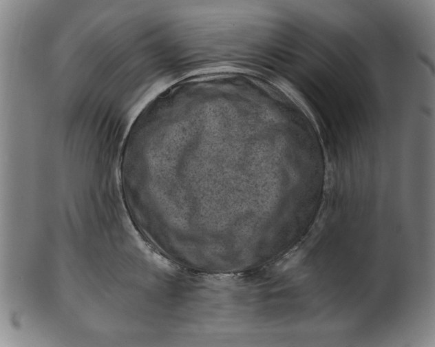 X0000100900813200807220950