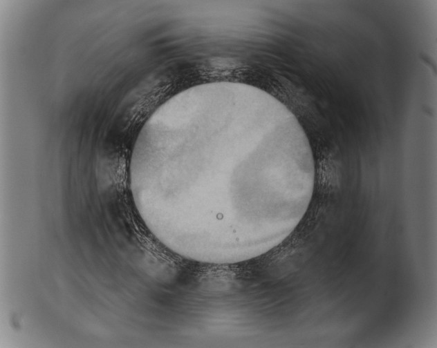 X0000100900820200807220949