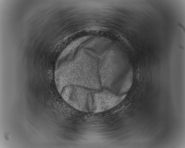 X0000100900821200807220949