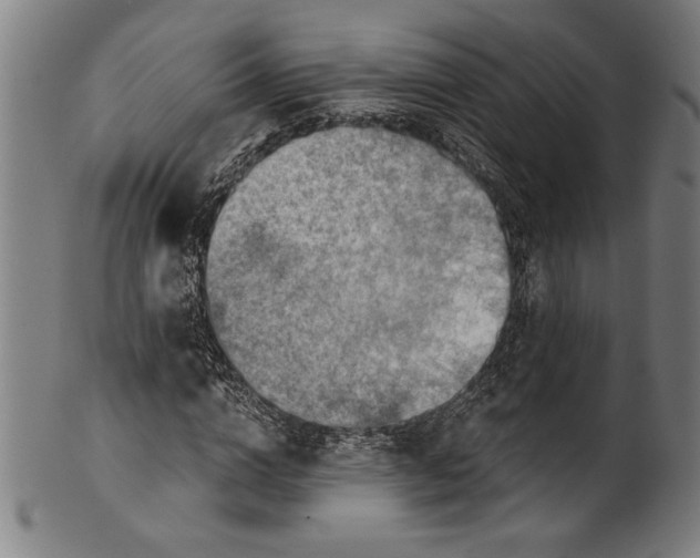 X0000100900824200807220949