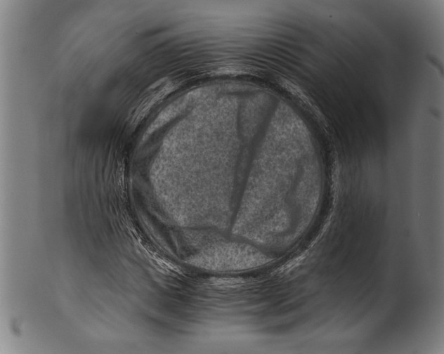 X0000100900825200807220949