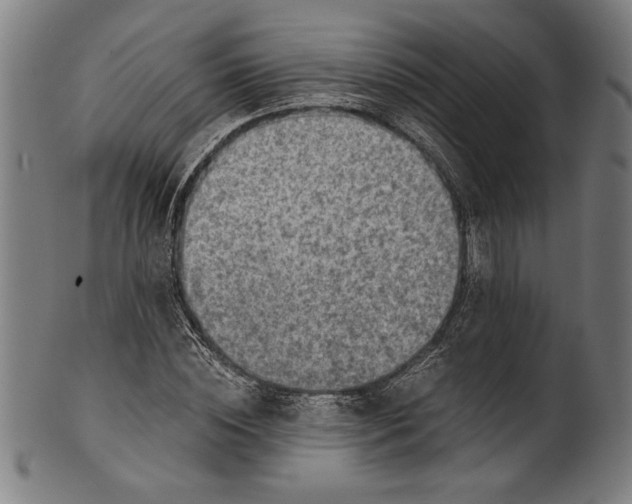 X0000100900828200807220949