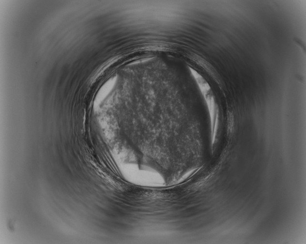 X0000100900829200807220949