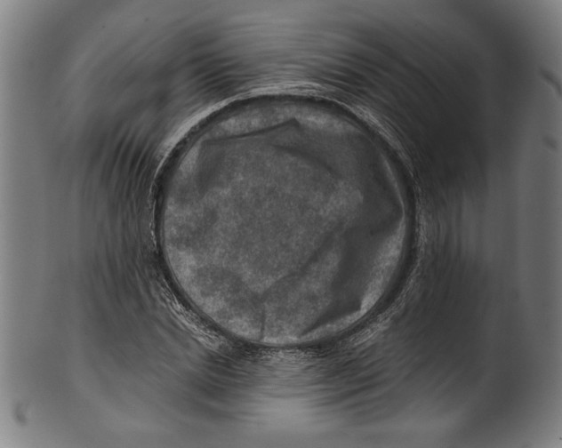 X0000100900830200807220949