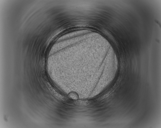 X0000100900831200807220949