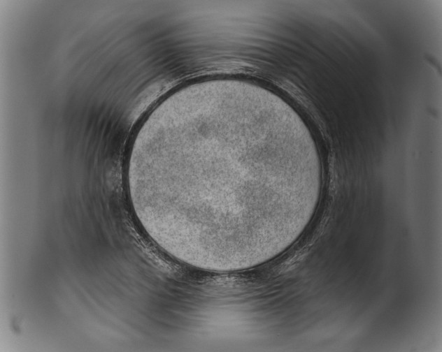 X0000100900834200807220950