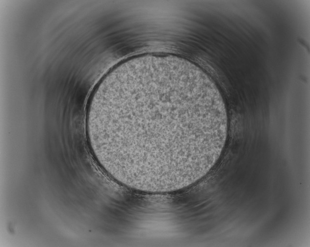 X0000100900836200807220950