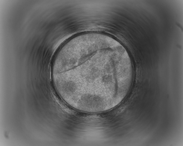 X0000100900838200807220950