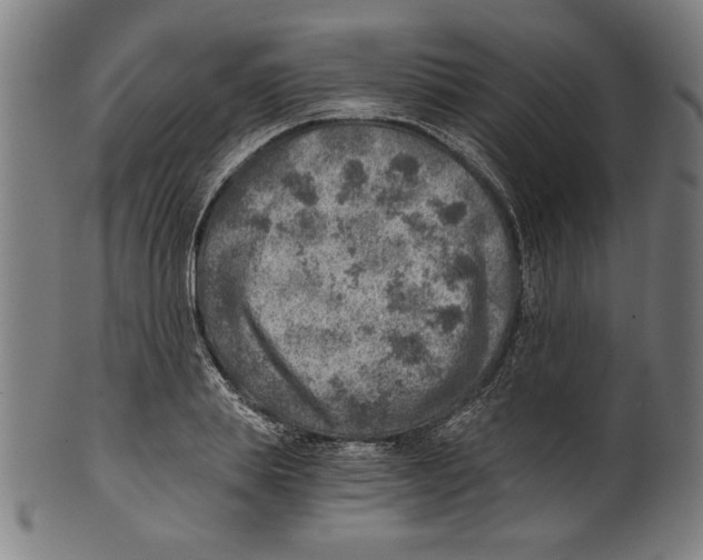 X0000100900839200807220950