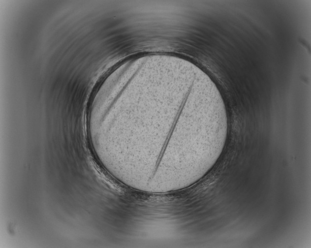 X0000100900840200807220950