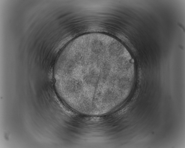 X0000100900841200807220950