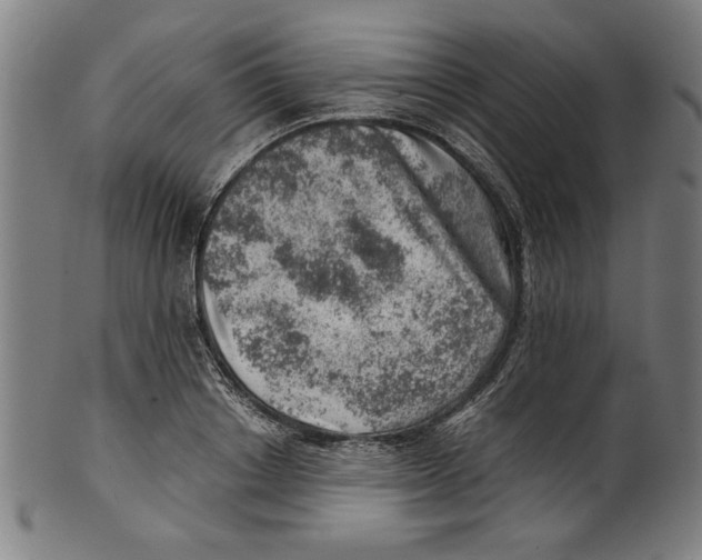 X0000100900842200807220950