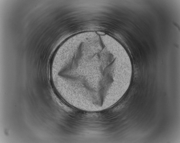 X0000100900843200807220950