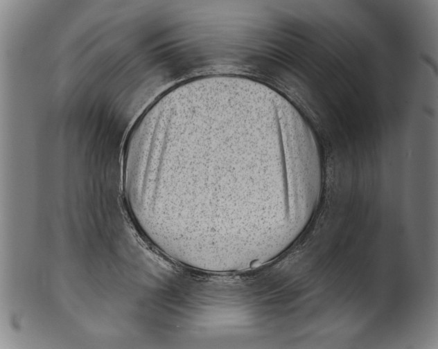 X0000100900844200807220950