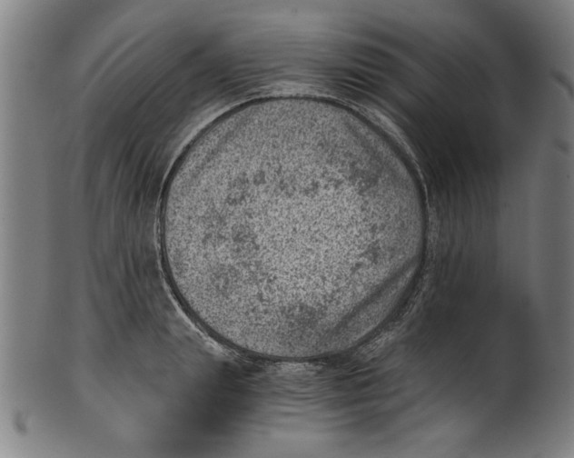 X0000100900847200807220950