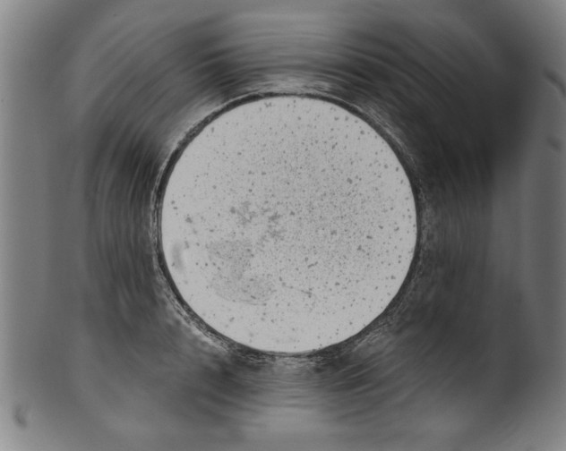 X0000100900848200807220950