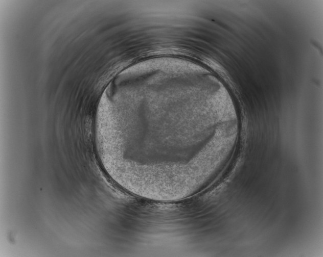 X0000100900849200807220950