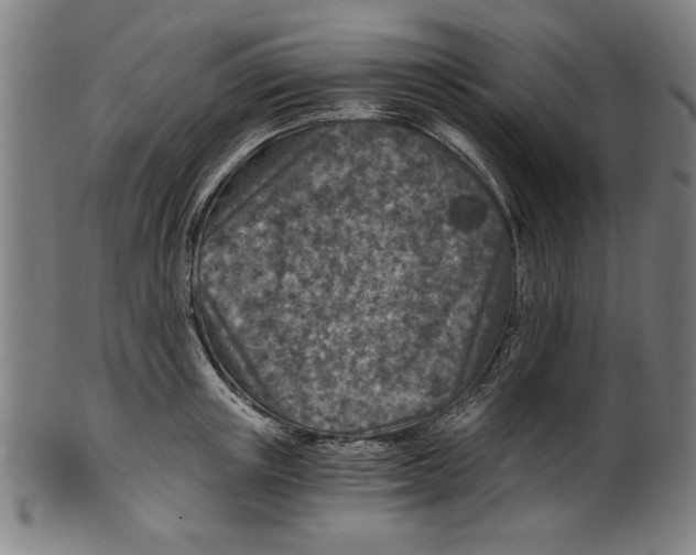 X0000100900851200807220950