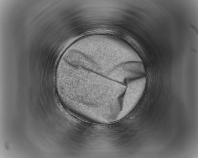 X0000100900852200807220950