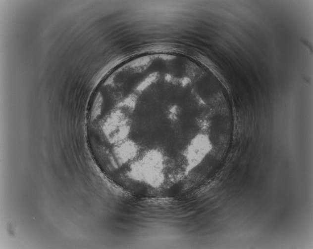 X0000100900853200807220950