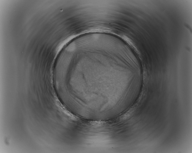 X0000100900854200807220950