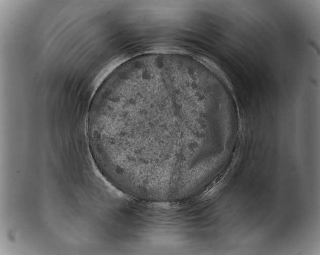 X0000100900855200807220950