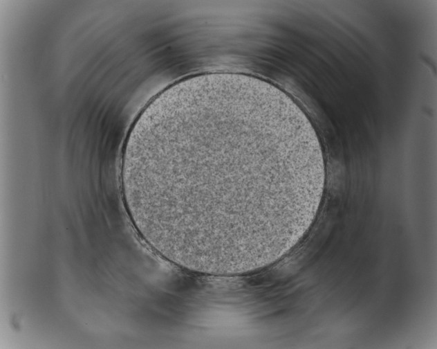 X0000100900856200807220950