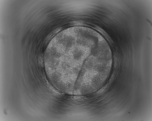 X0000100900857200807220950