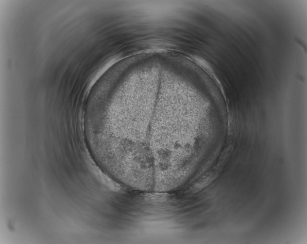 X0000100900859200807220950