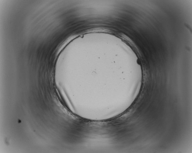 X0000100900860200807220950