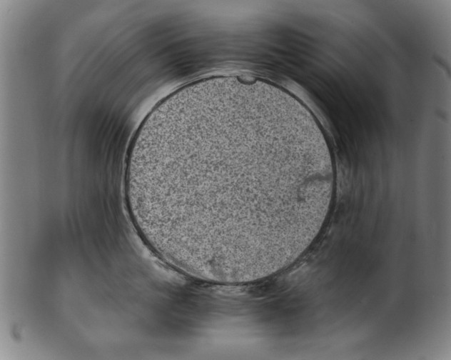 X0000100900861200807220950