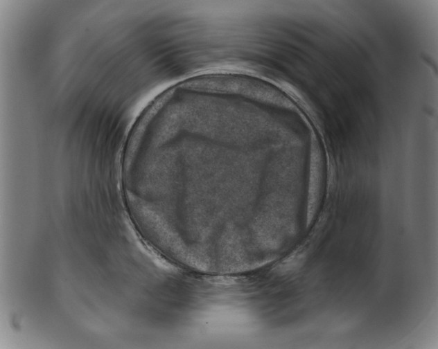 X0000100900862200807220950