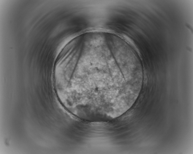 X0000100900863200807220950