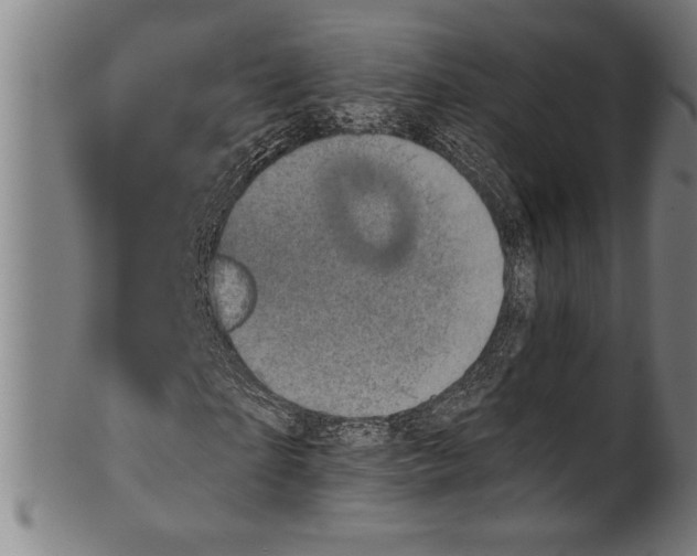 X0000100900865200807220949