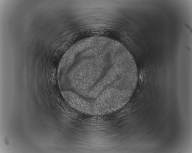 X0000100900867200807220949