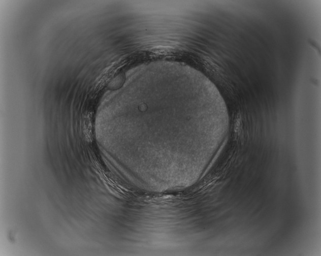 X0000100900868200807220949