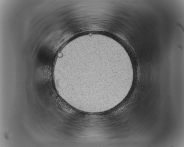 X0000100900873200807220949