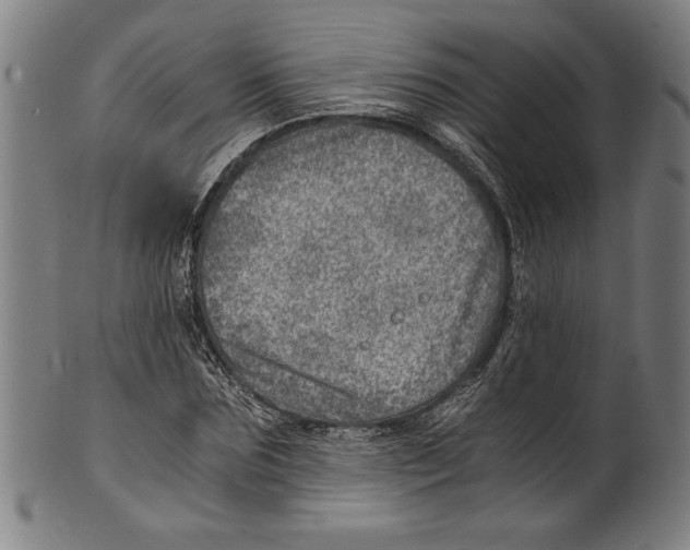 X0000100900875200807220949