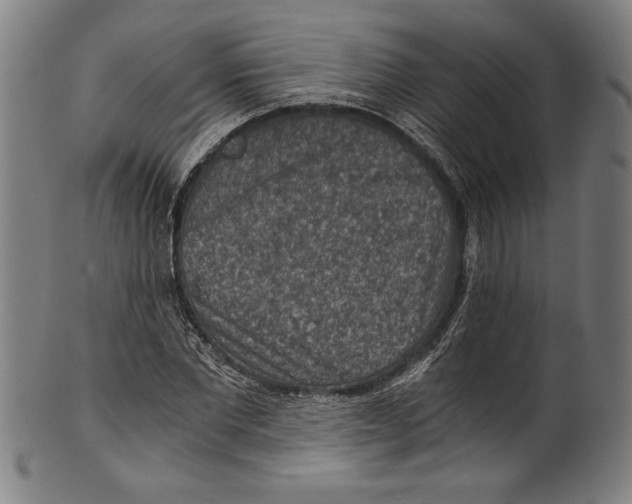 X0000100900877200807220949