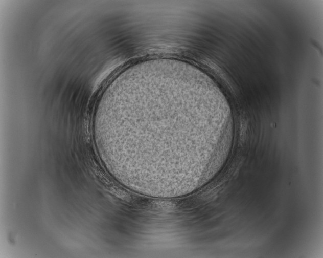 X0000100900878200807220949