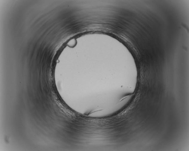 X0000100900880200807220949