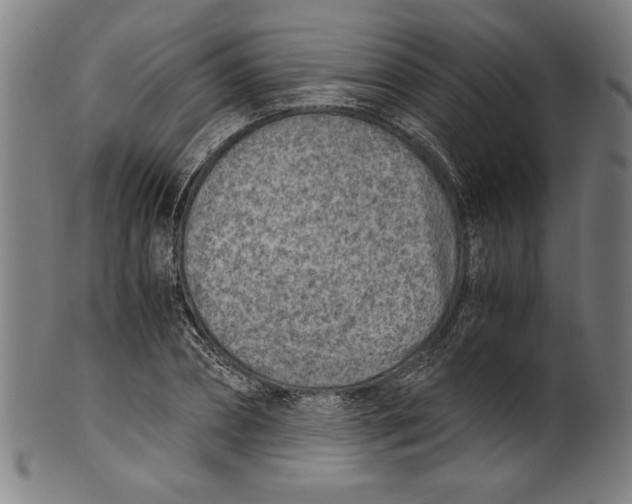 X0000100900882200807220949