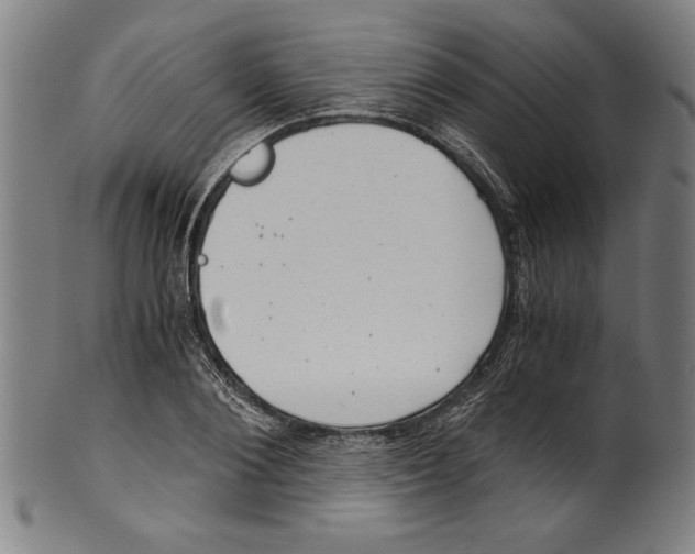 X0000100900884200807220949