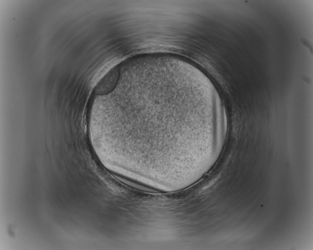 X0000100900885200807220949