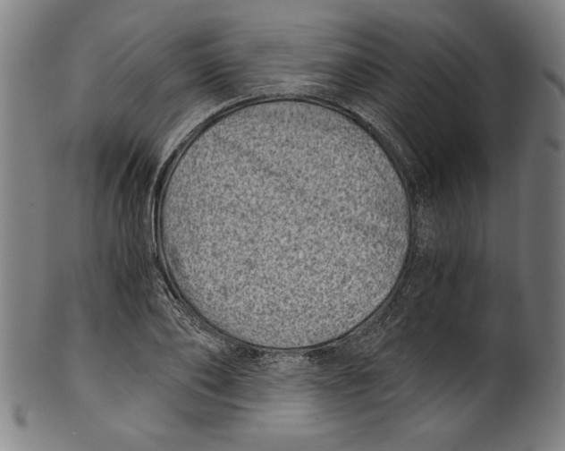 X0000100900886200807220949