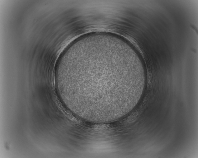 X0000100900887200807220949